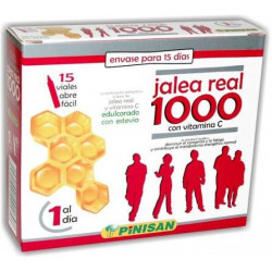 JALEA REAL 1000 15 viales - Pinisan