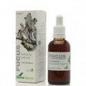Extracto de Fucus - 50 ml - Soria Natural