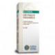 LES FAGUS SILVATICA (Haya) 50 ml FORZA VITALE
