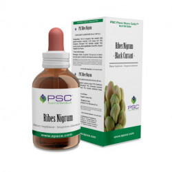 PSC RIBES NIGRUM  15 ml FORZA VITALE
