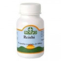 Reishi - 500 mg - 90 cap - Sotya