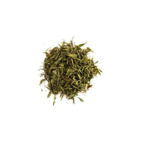 STEVIA HOJA