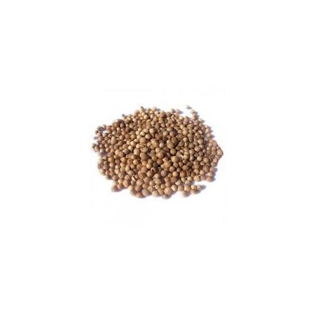 CORIANDROS (CILANTRO SEMILLAS)