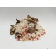 RISOTTO DE HONGOS