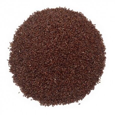 ZARAGOTANA
