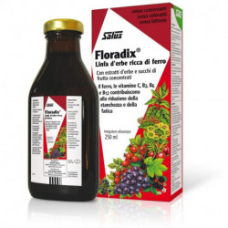 Floradix Jarabe 250 ml  Salus