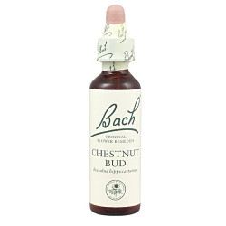 Chestnut Bud Flores de bach originales 20 ml